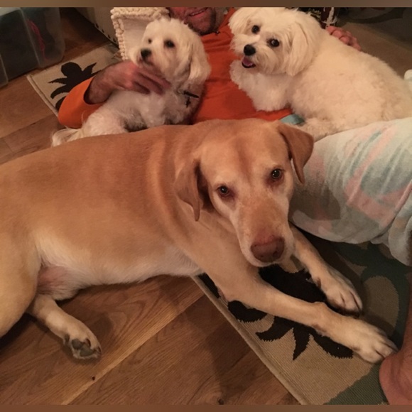 Meet your Posher, Jennifer - Picture 11 of 11